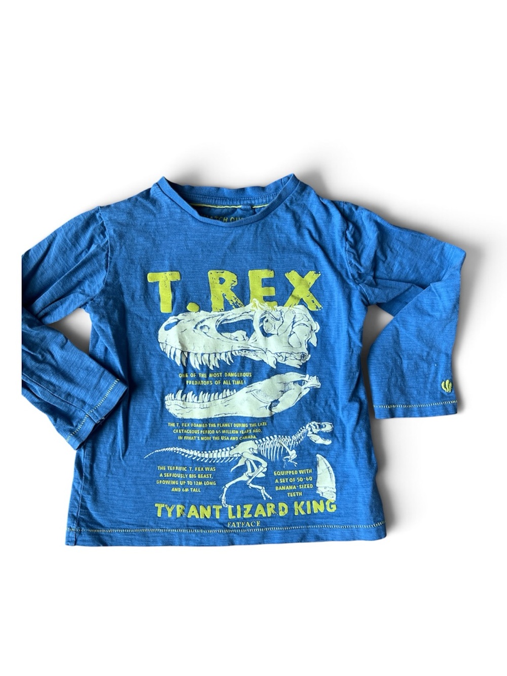 Fat Face Blue Long-Sleeve T. Rex Graphic Tee